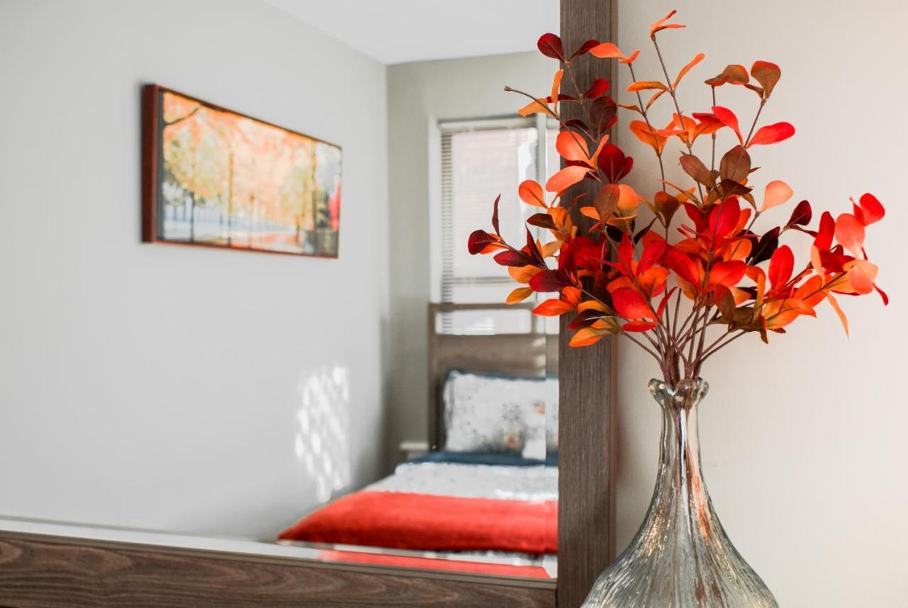 Lovely 2Br Apartment By Wooster Square- Great Neighborhood New Haven Dış mekan fotoğraf