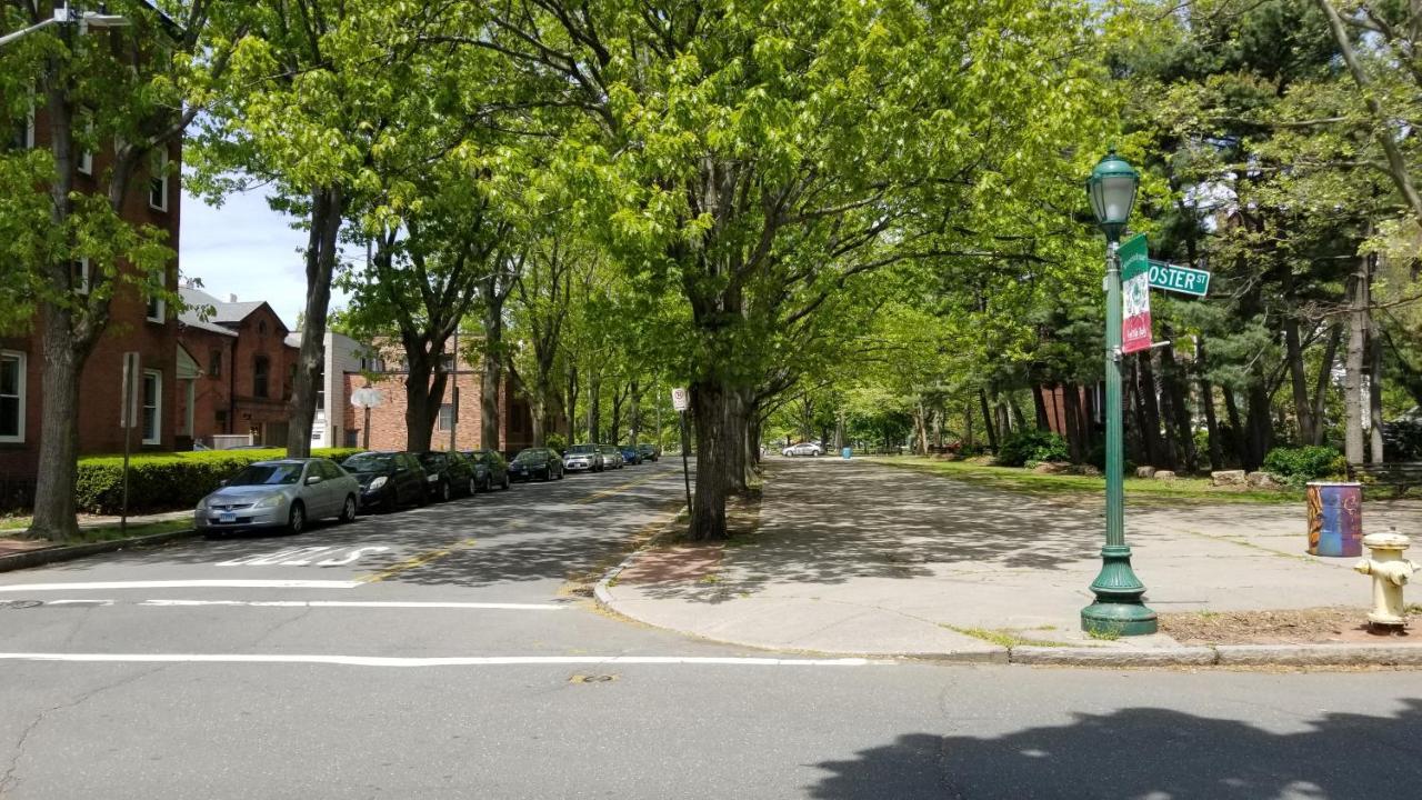 Lovely 2Br Apartment By Wooster Square- Great Neighborhood New Haven Dış mekan fotoğraf